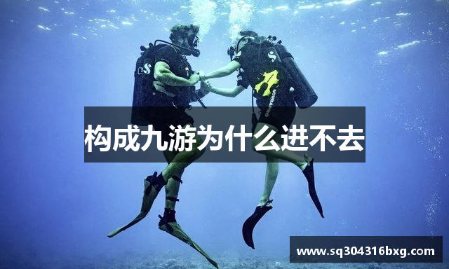 构成九游为什么进不去